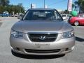 Golden Beige - Sonata GLS Photo No. 8