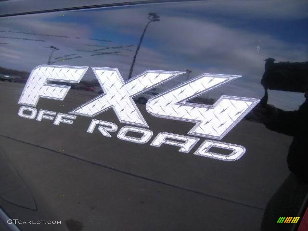 2004 F150 FX4 SuperCrew 4x4 - Black / Black/Medium Flint photo #12