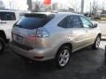 2004 Savannah Beige Metallic Lexus RX 330  photo #3