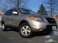 2007 Golden Beige Hyundai Santa Fe GLS  photo #1