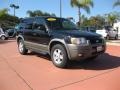 2002 Black Clearcoat Ford Escape XLT V6  photo #1