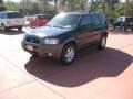 2002 Black Clearcoat Ford Escape XLT V6  photo #3