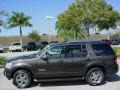 2006 Dark Stone Metallic Ford Explorer Limited  photo #7