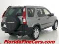 2006 Pewter Pearl Honda CR-V EX  photo #2