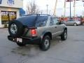 Light Pewter Metallic - Blazer LS 4x4 Photo No. 8