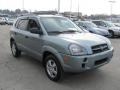 2008 Alpine Frost Hyundai Tucson GLS  photo #8