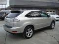 Millennium Silver Metallic - RX 350 AWD Photo No. 4