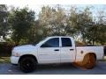 2004 Bright Silver Metallic Dodge Ram 1500 SLT Quad Cab 4x4  photo #4