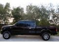 Black - F250 Super Duty Harley Davidson Crew Cab 4x4 Photo No. 4