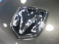2010 Dark Titanium Metallic Dodge Charger SXT  photo #19