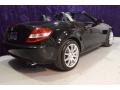 2007 Black Mercedes-Benz SLK 350 Roadster  photo #43