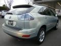 2008 Bamboo Pearl Lexus RX 400h AWD Hybrid  photo #5