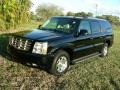 Black Raven - Escalade ESV AWD Photo No. 1