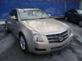 2009 Gold Mist Cadillac CTS 4 AWD Sedan  photo #6