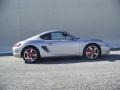 Arctic Silver Metallic - Cayman S Photo No. 4