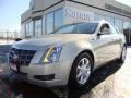 Gold Mist - CTS Sedan Photo No. 1