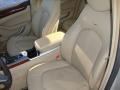 Gold Mist - CTS Sedan Photo No. 10