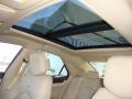 Gold Mist - CTS Sedan Photo No. 11