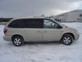 Linen Gold Metallic - Grand Caravan SXT Photo No. 6