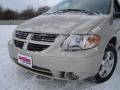 Linen Gold Metallic - Grand Caravan SXT Photo No. 9