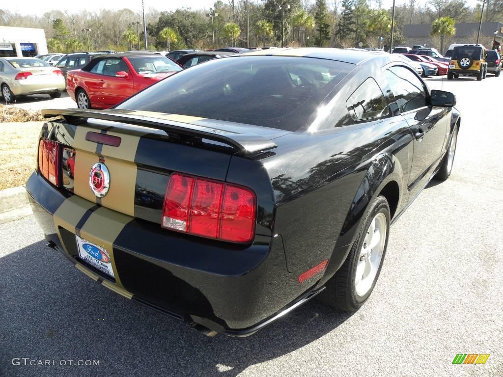 2007 Mustang GT Premium Coupe - Black / Black/Dove Accent photo #10