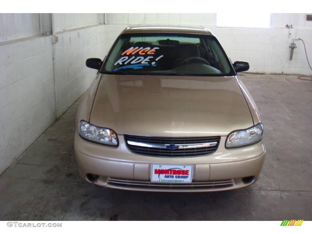 2004 Classic  - Light Driftwood Metallic / Beige photo #6