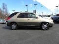 2002 Sedona Bronze Buick Rendezvous CXL AWD  photo #2