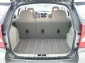 Light Khaki Metallic - Caliber SE Photo No. 10