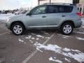 2007 Everglade Metallic Toyota RAV4 4WD  photo #2