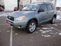 2007 Everglade Metallic Toyota RAV4 4WD  photo #9