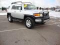 Titanium Metallic - FJ Cruiser 4WD Photo No. 7