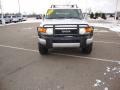 Titanium Metallic - FJ Cruiser 4WD Photo No. 8