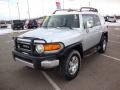 Titanium Metallic - FJ Cruiser 4WD Photo No. 9