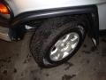 Titanium Metallic - FJ Cruiser 4WD Photo No. 18