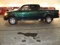 2004 Imperial Jade Mica Toyota Tundra Limited Double Cab 4x4  photo #4
