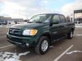 2004 Imperial Jade Mica Toyota Tundra Limited Double Cab 4x4  photo #14