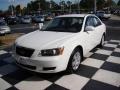 Powder White Pearl - Sonata GLS Photo No. 3