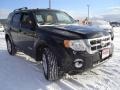 2008 Black Ford Escape XLT V6  photo #7