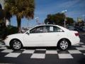 Powder White Pearl - Sonata GLS Photo No. 33