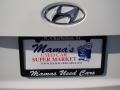 Powder White Pearl - Sonata GLS Photo No. 37