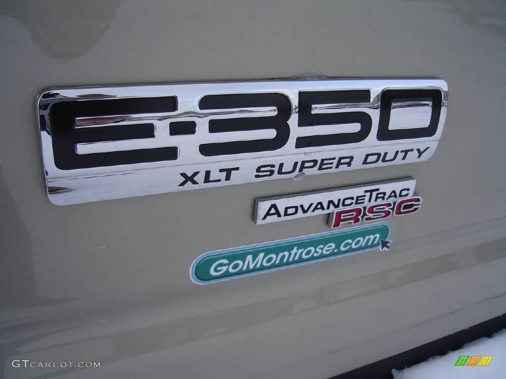 2009 E Series Van E350 Super Duty XLT Passenger - Pueblo Gold Metallic / Medium Pebble photo #12
