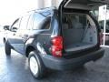 Brilliant Black - Durango SXT Photo No. 10