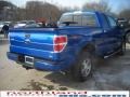 Blue Flame Metallic - F150 FX4 SuperCab 4x4 Photo No. 6