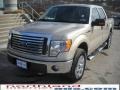 2010 Pueblo Gold Metallic Ford F150 XLT SuperCrew 4x4  photo #2