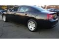 Brilliant Black Crystal Pearl - Charger  Photo No. 3