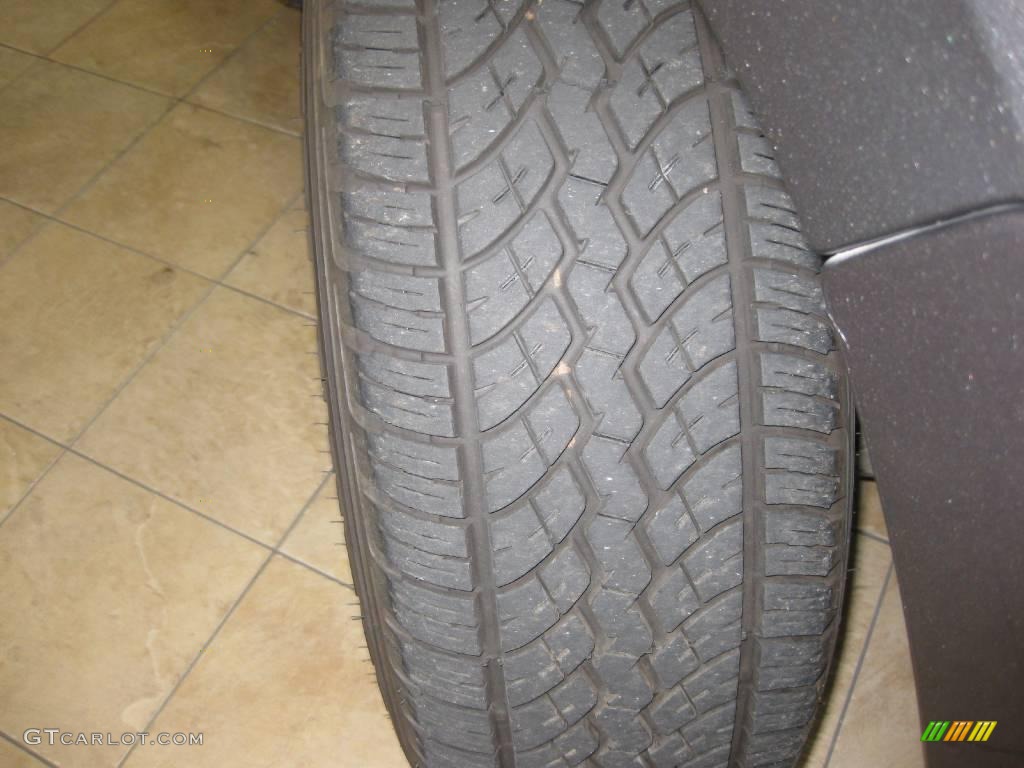 2006 F150 STX Regular Cab - Dark Shadow Grey Metallic / Medium/Dark Flint photo #9