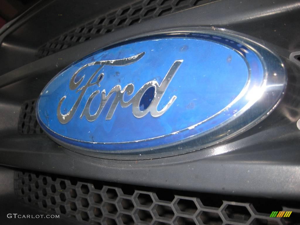 2006 F150 STX Regular Cab - Dark Shadow Grey Metallic / Medium/Dark Flint photo #11