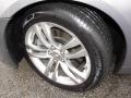 Platinum Graphite Gray - G 37 Coupe Photo No. 19