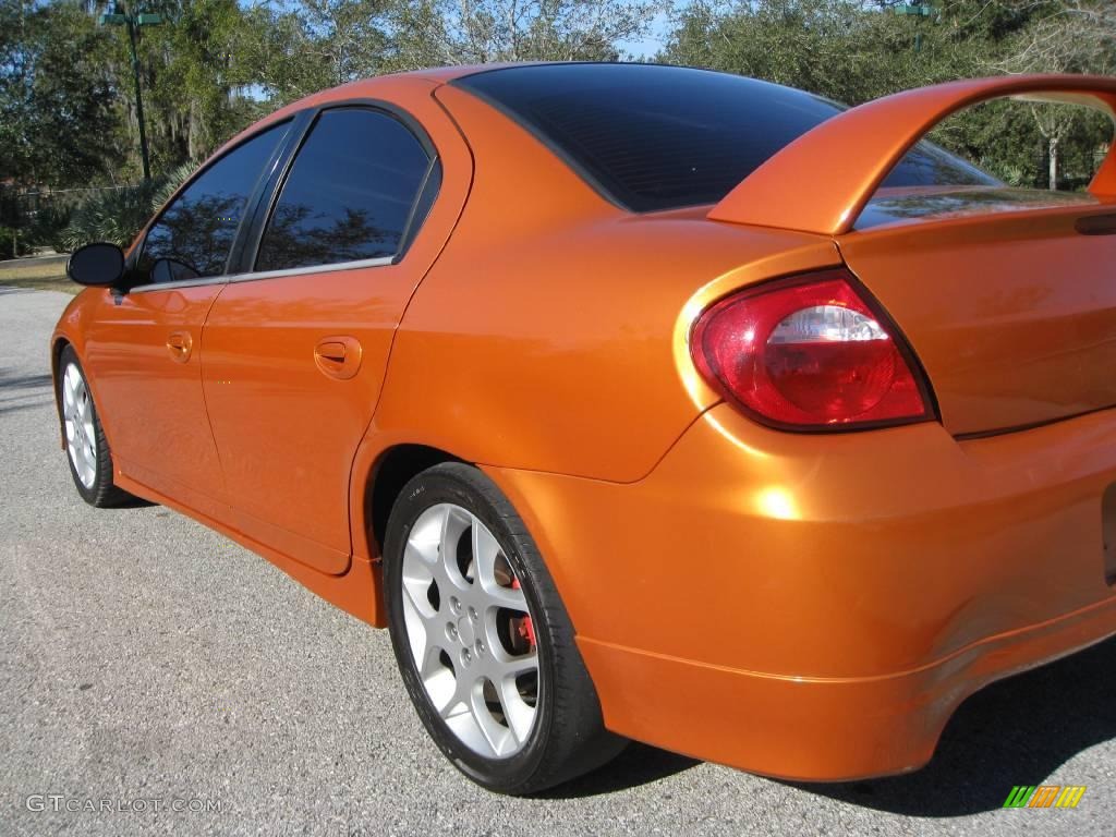 2005 Orange Blast Pearlcoat Dodge Neon SRT4 25300247 Photo 9