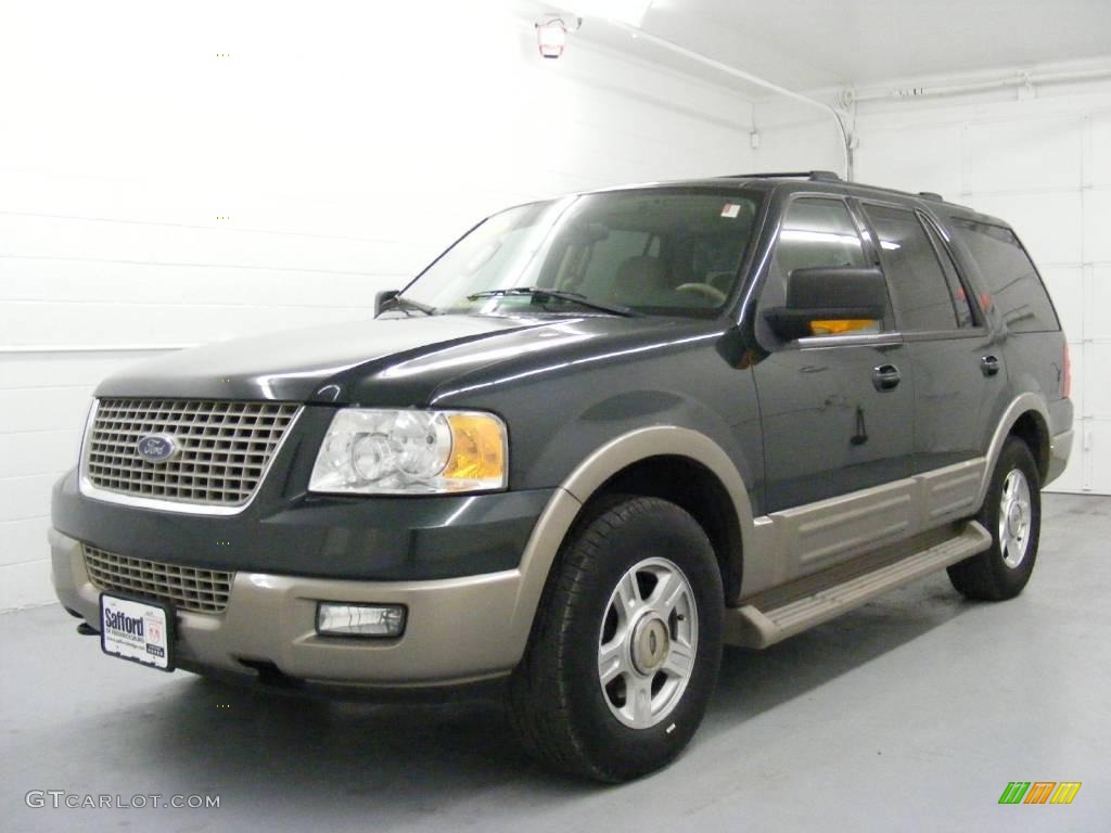 2003 Expedition Eddie Bauer 4x4 - Estate Green Metallic / Medium Parchment photo #1